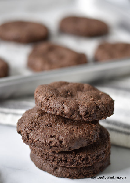 CHOCOLATE SABLÉ COOKIES